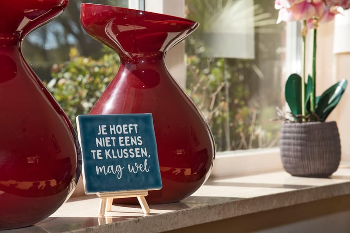 Photo 4 of Orionstraat 4