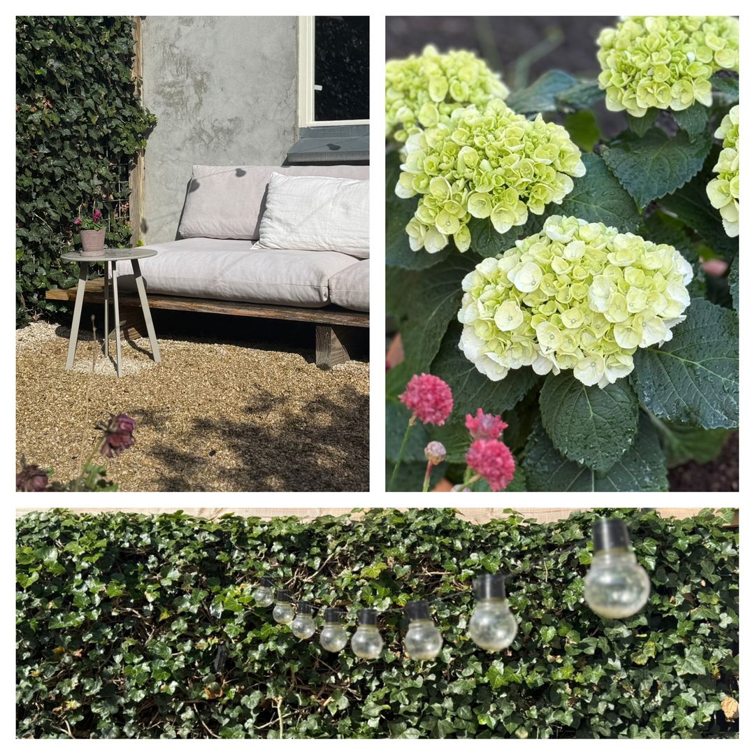 Foto 32 van Tulpstraat 17