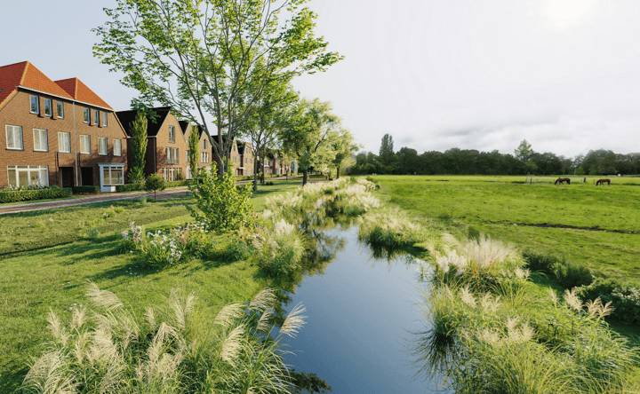 Photo 3 of Nautawerf 48