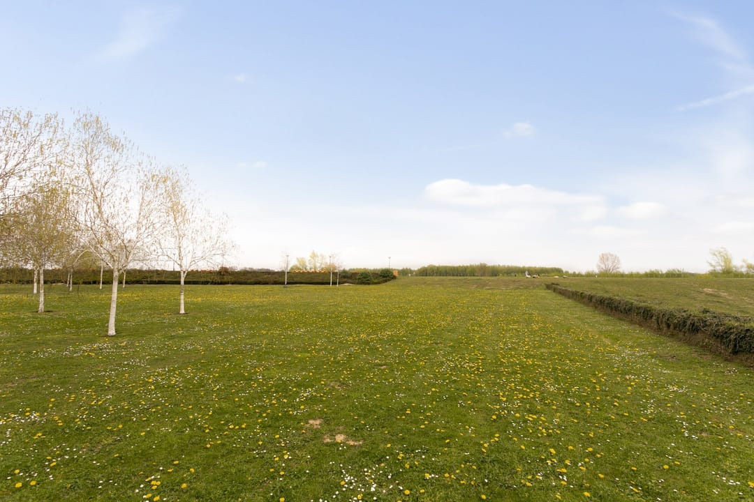 Foto 37 van Schout van Hanswijkplein 82