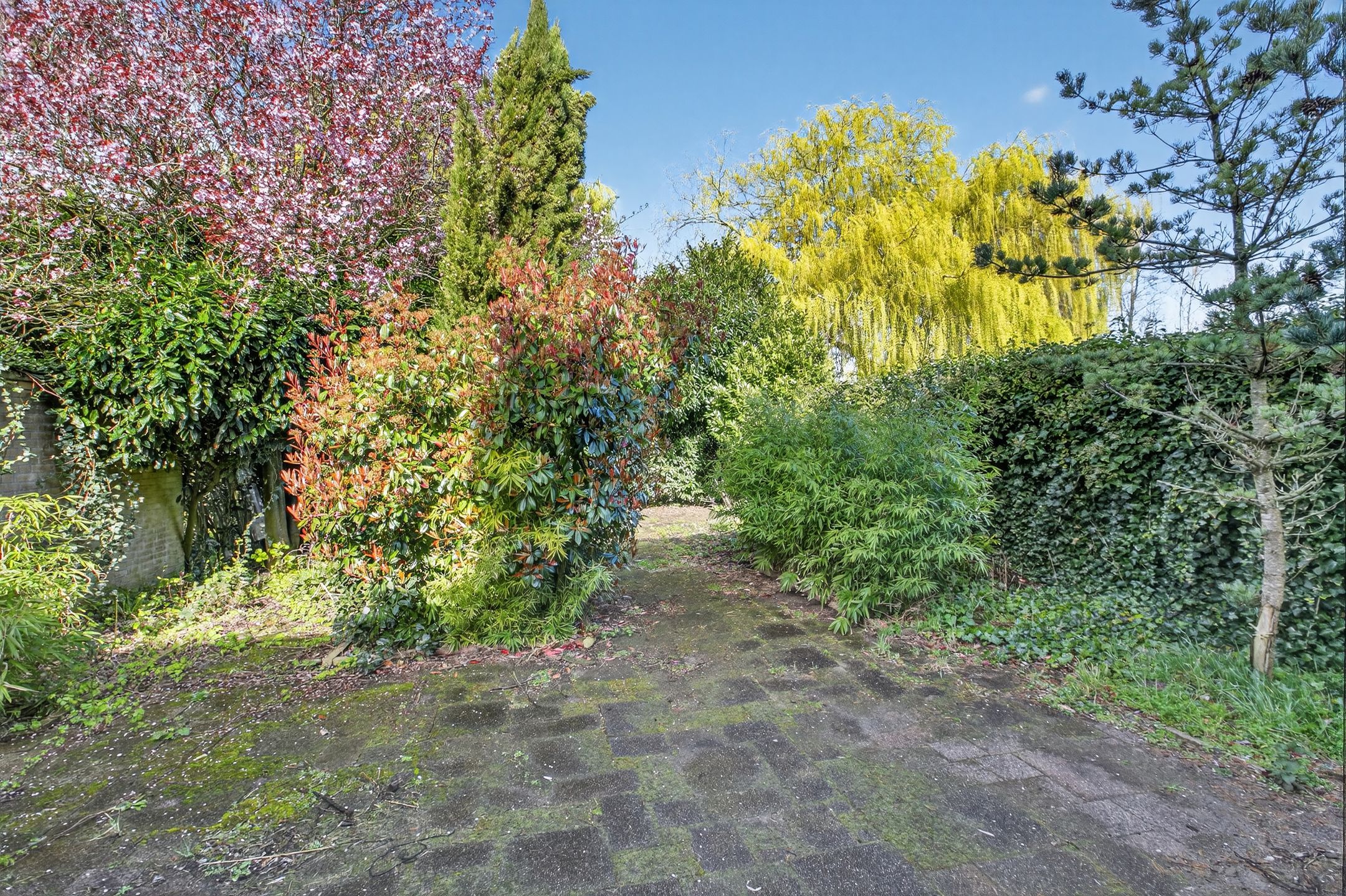 Foto 21 van Distelvlinderweg 1