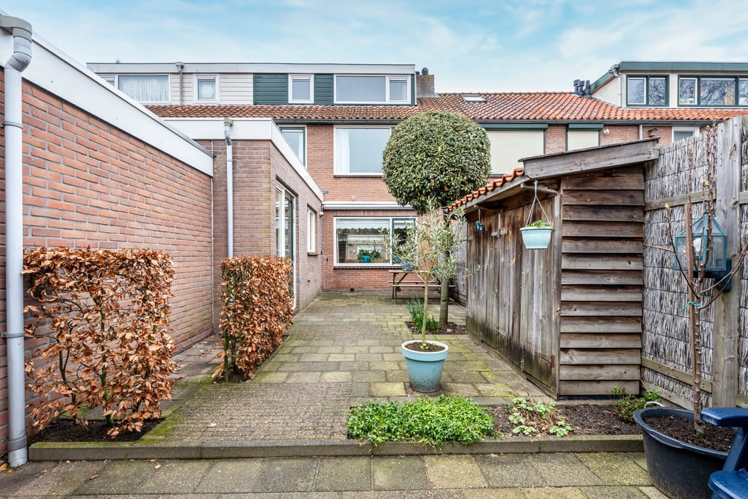 Foto 46 van Dokter B.J.Buurmanstraat 38