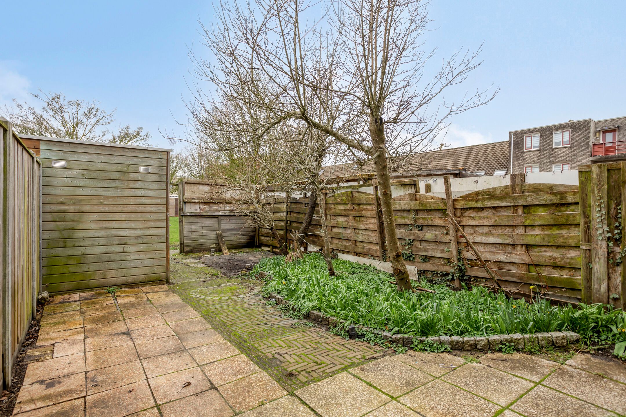 Foto 3 van Rozemarijnstraat 8