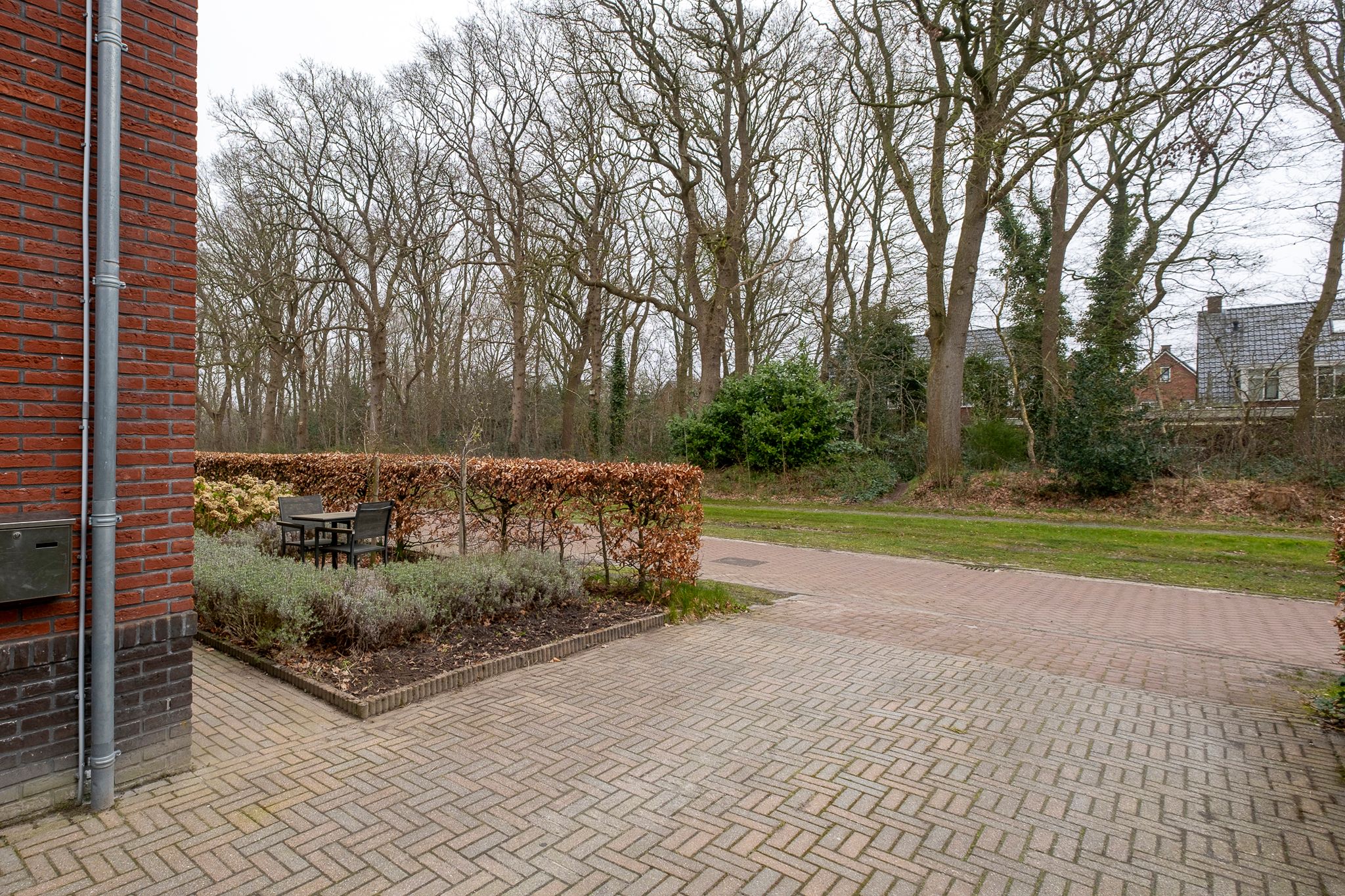 Photo 51 of Klaprooslaan 16
