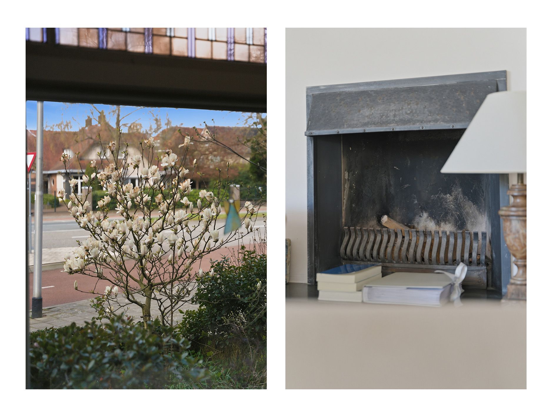 Foto 9 van St. Annastraat 359