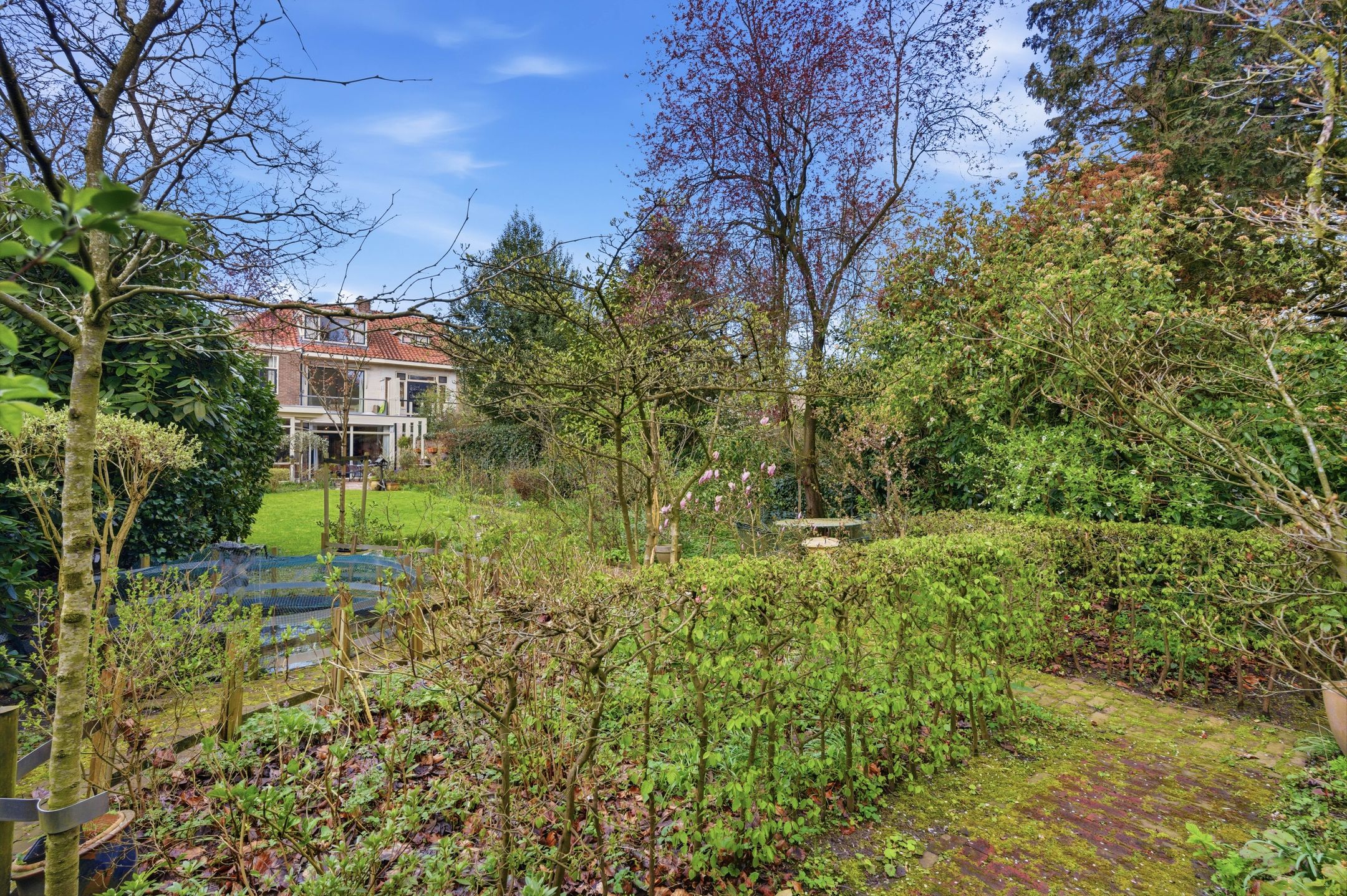 Foto 51 van St. Annastraat 359