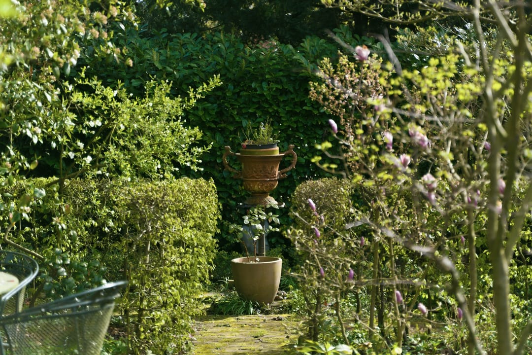 Foto 52 van St. Annastraat 359