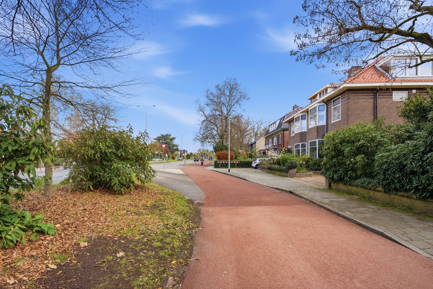 Foto 55 van St. Annastraat 359