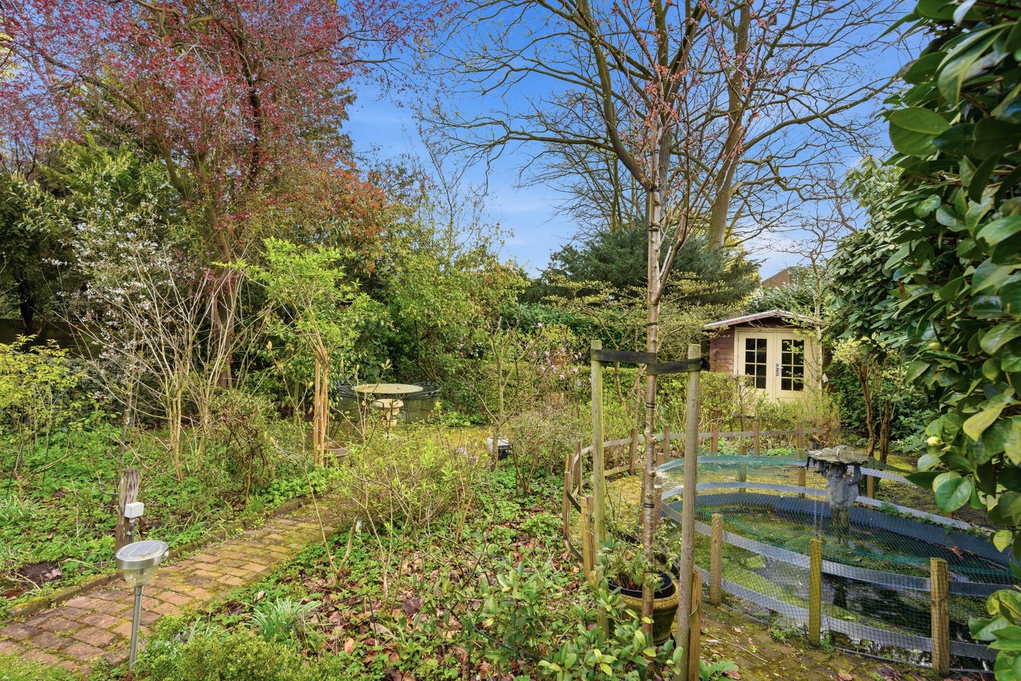 Foto 49 van St. Annastraat 359