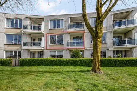 Rozenstraat thumbnail