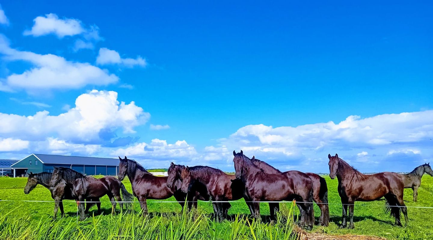 Foto 65 van Eemdijk 134