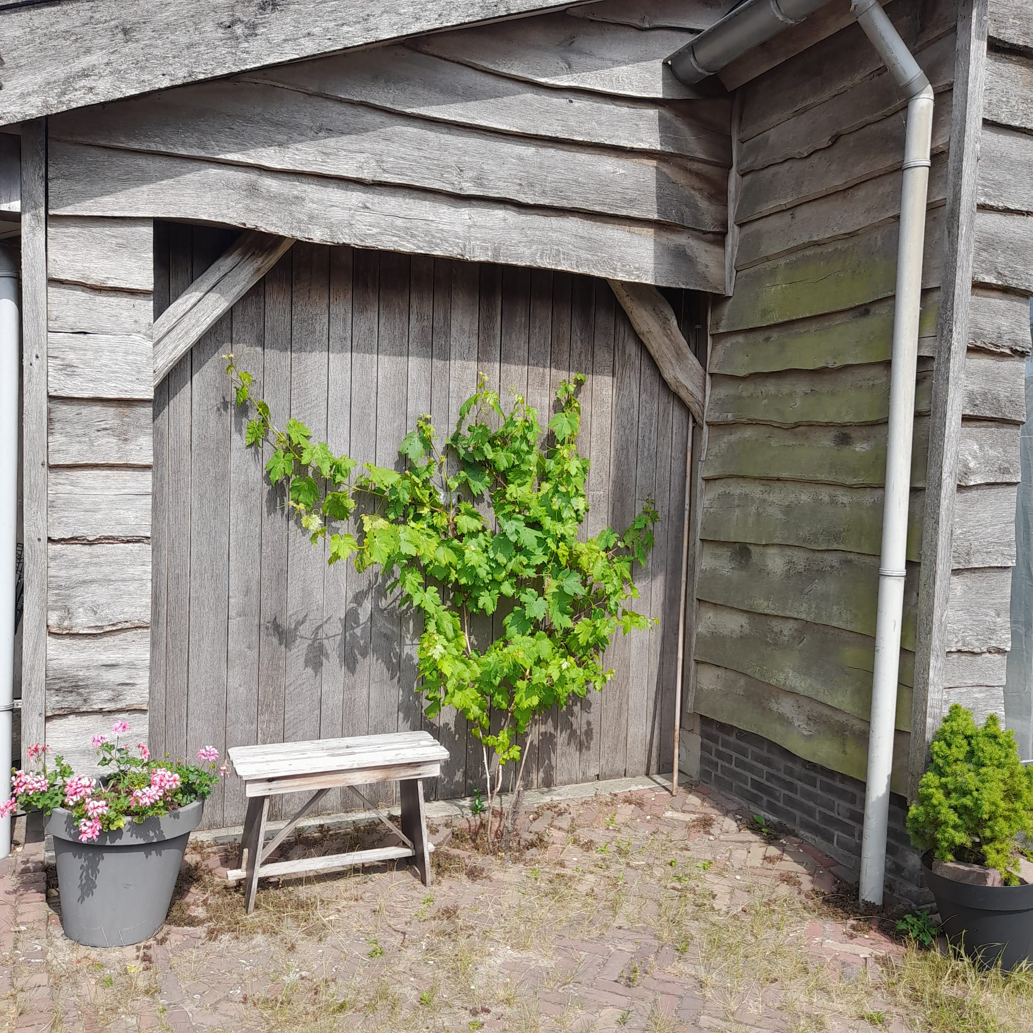 Foto 42 van Eemdijk 134