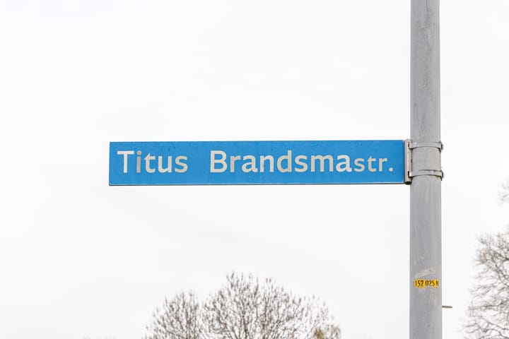 Foto 5 van Titus Brandsmastraat 33