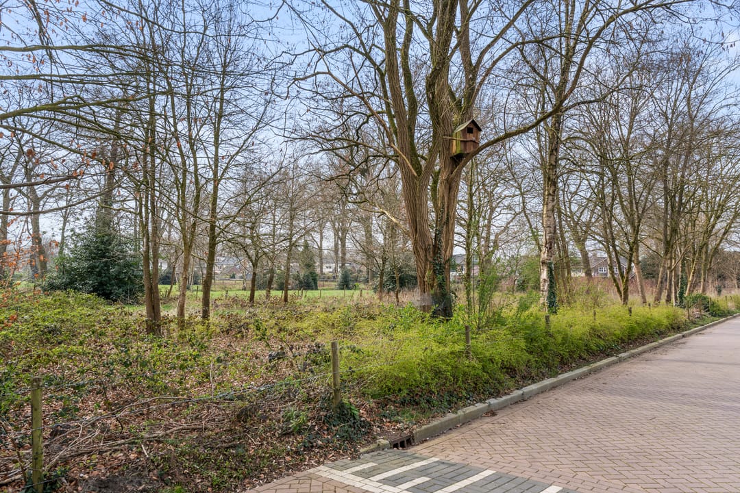 Foto 43 van Klokkegat 57