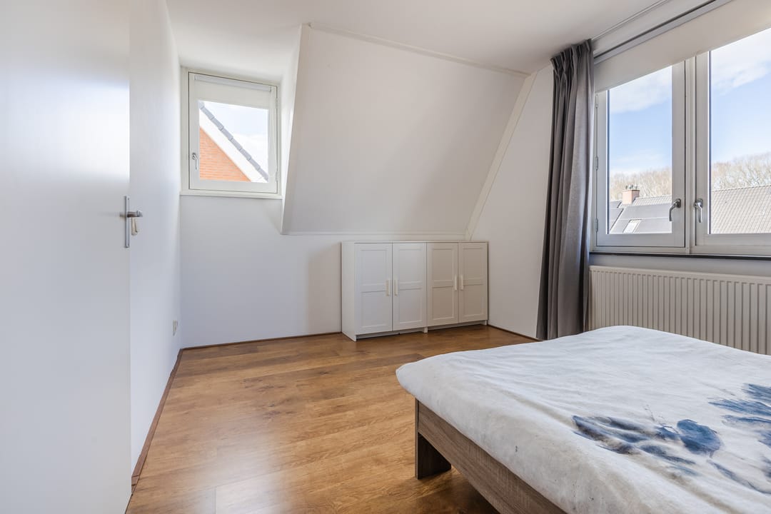 Foto 37 van Harlekijnvlinder 62