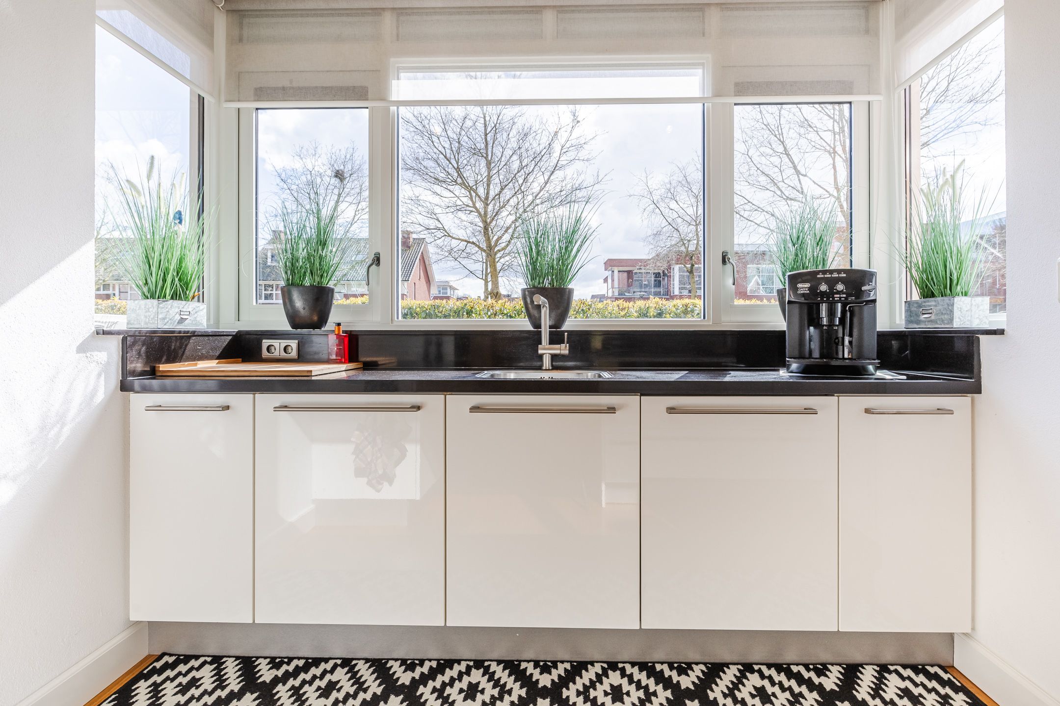 Foto 15 van Harlekijnvlinder 62