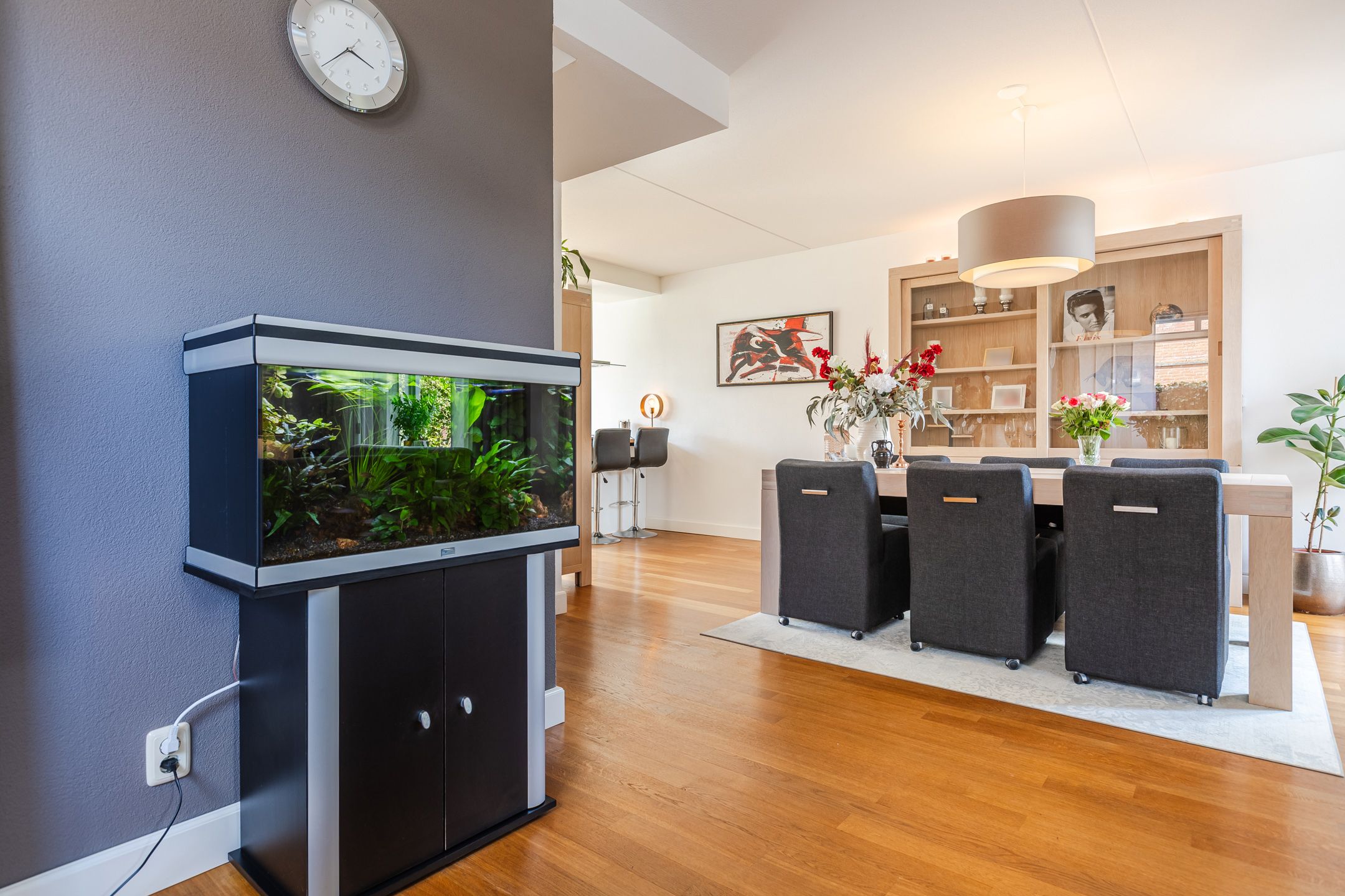 Foto 9 van Harlekijnvlinder 62