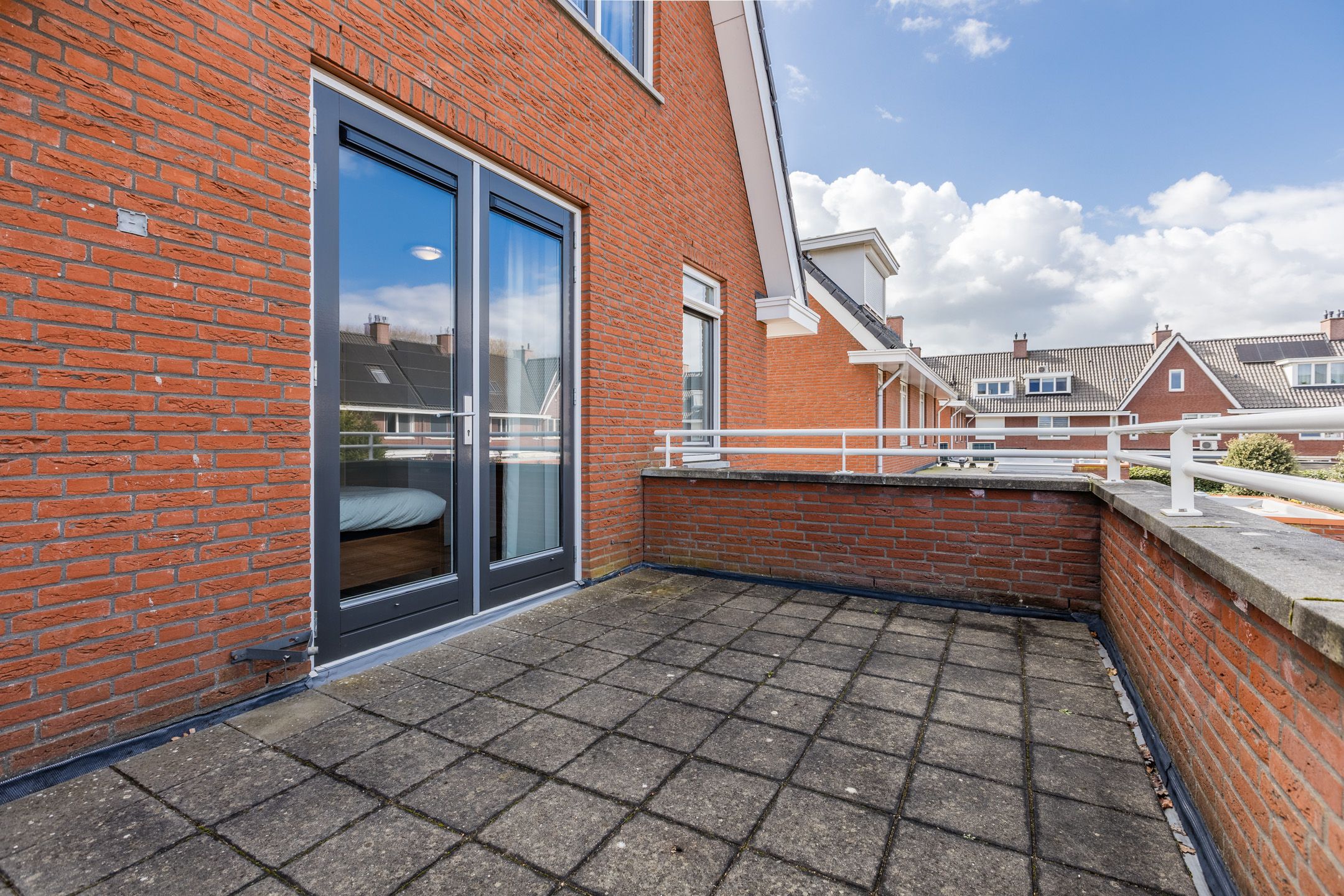 Foto 42 van Harlekijnvlinder 62