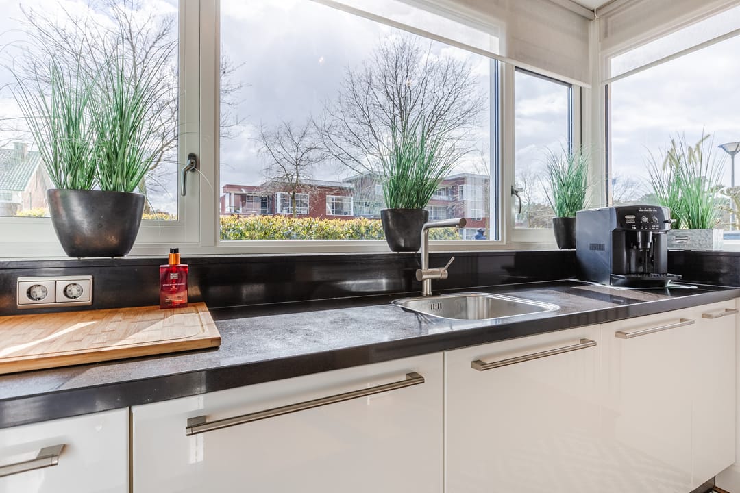 Foto 16 van Harlekijnvlinder 62