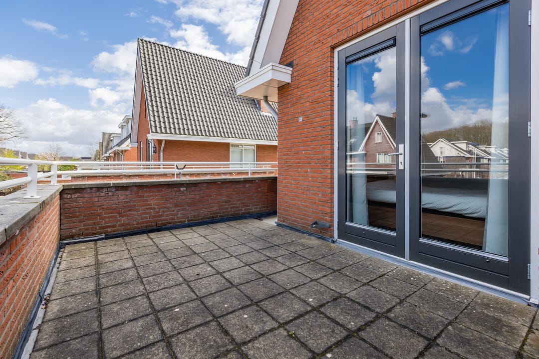 Foto 26 van Harlekijnvlinder 62