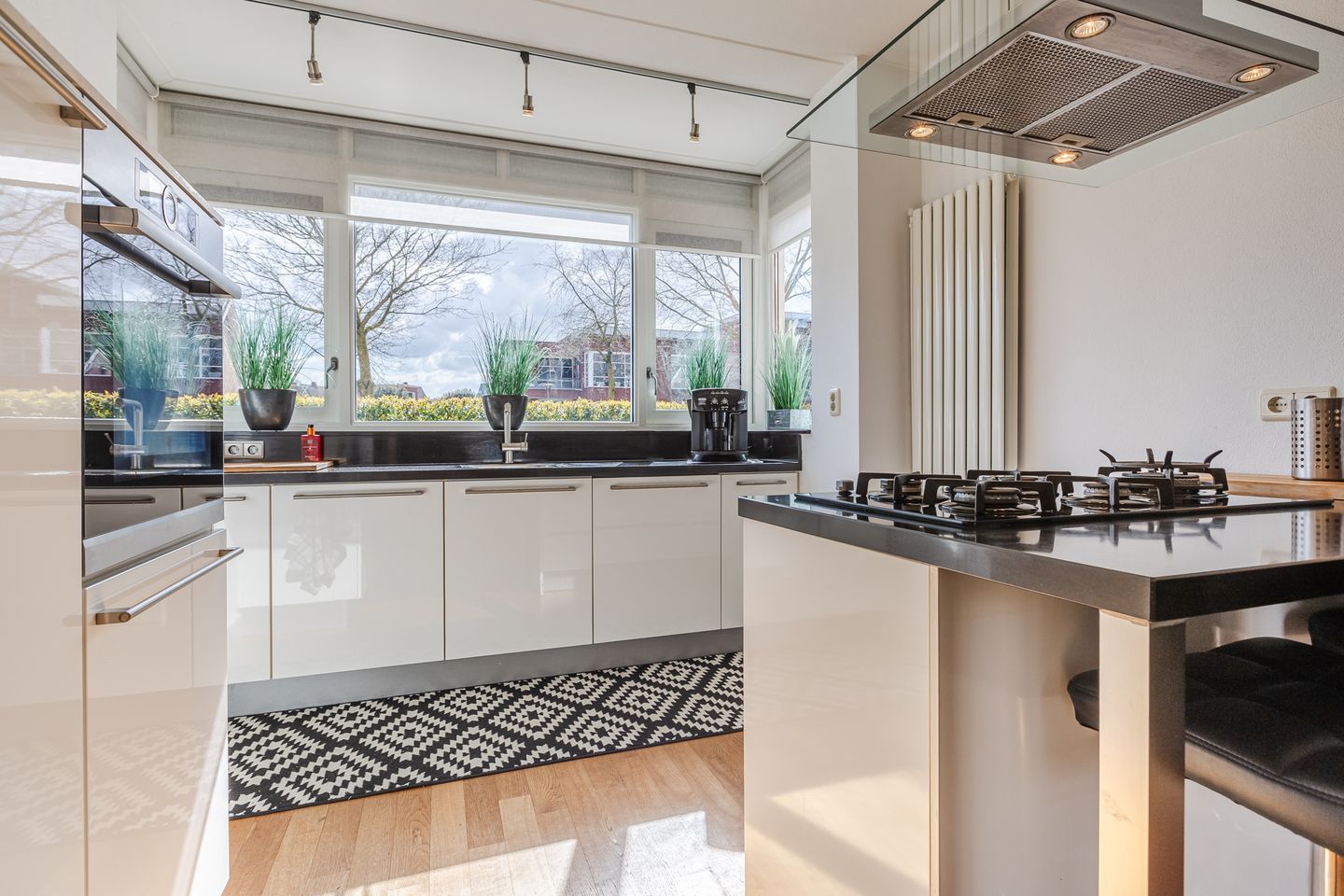 Foto 4 van Harlekijnvlinder 62