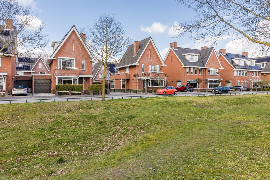 Foto 2 van Harlekijnvlinder 62