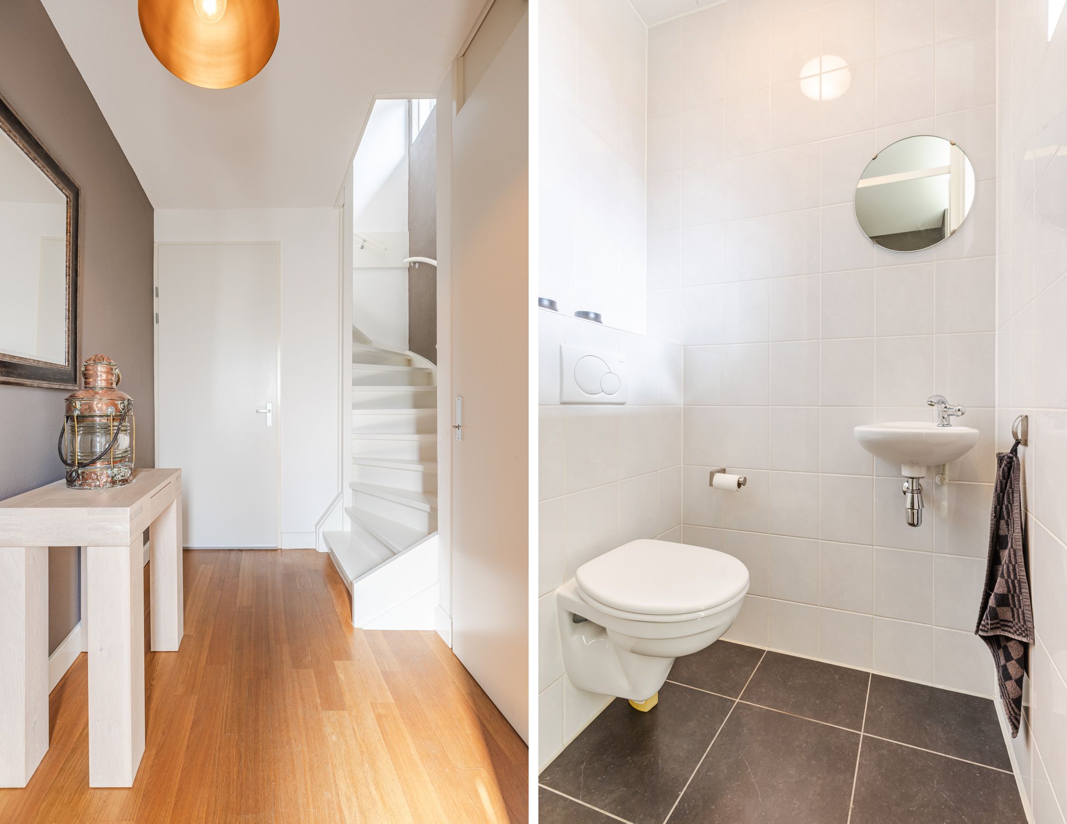 Foto 6 van Harlekijnvlinder 62