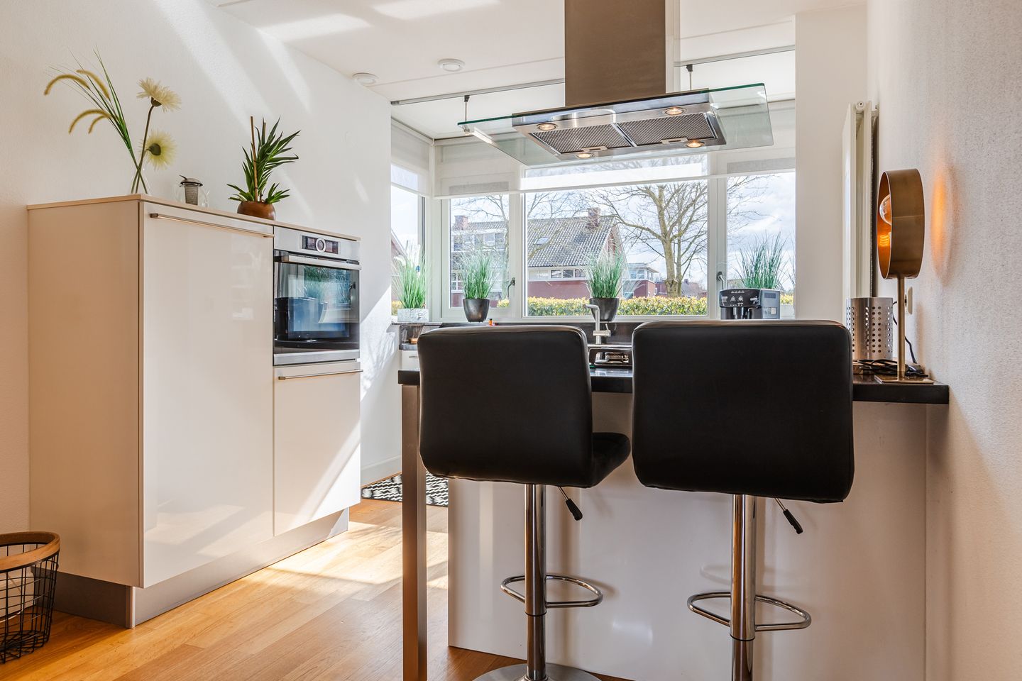 Foto 14 van Harlekijnvlinder 62