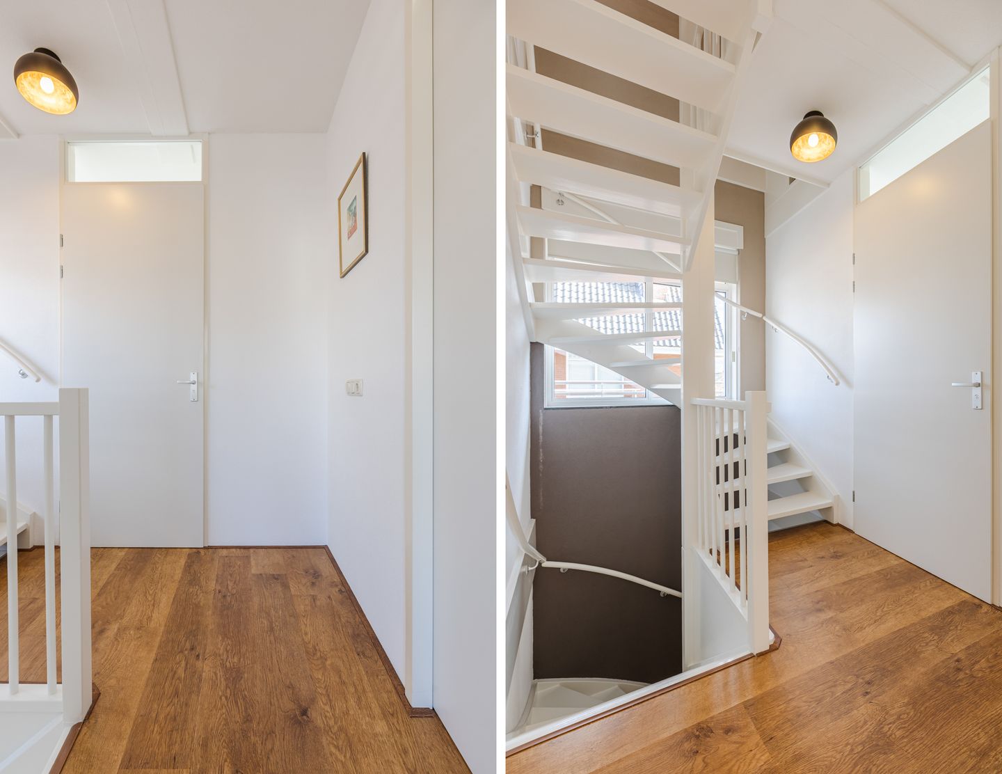 Foto 20 van Harlekijnvlinder 62