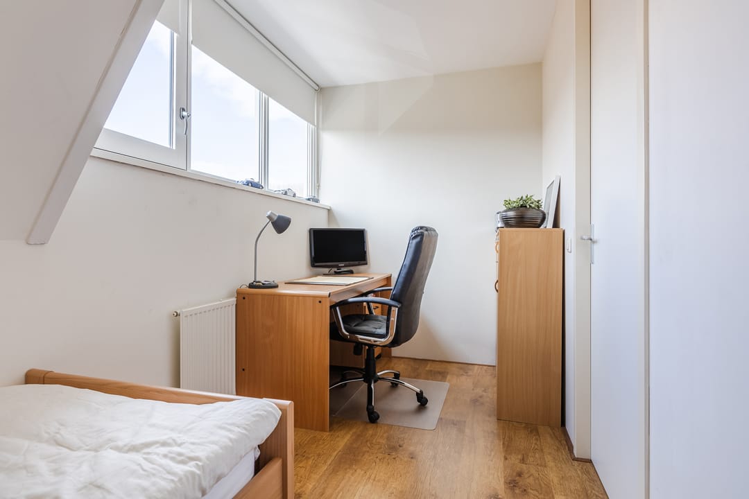 Foto 38 van Harlekijnvlinder 62