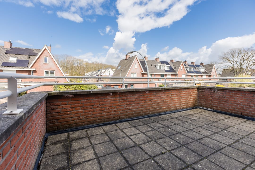 Foto 41 van Harlekijnvlinder 62