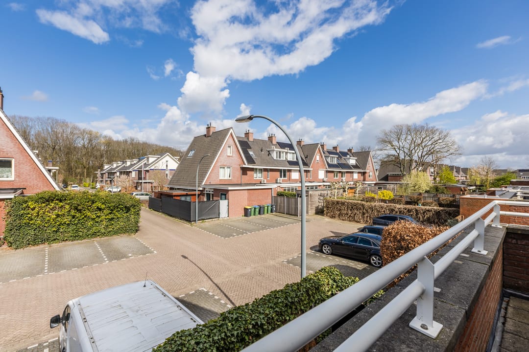 Foto 43 van Harlekijnvlinder 62