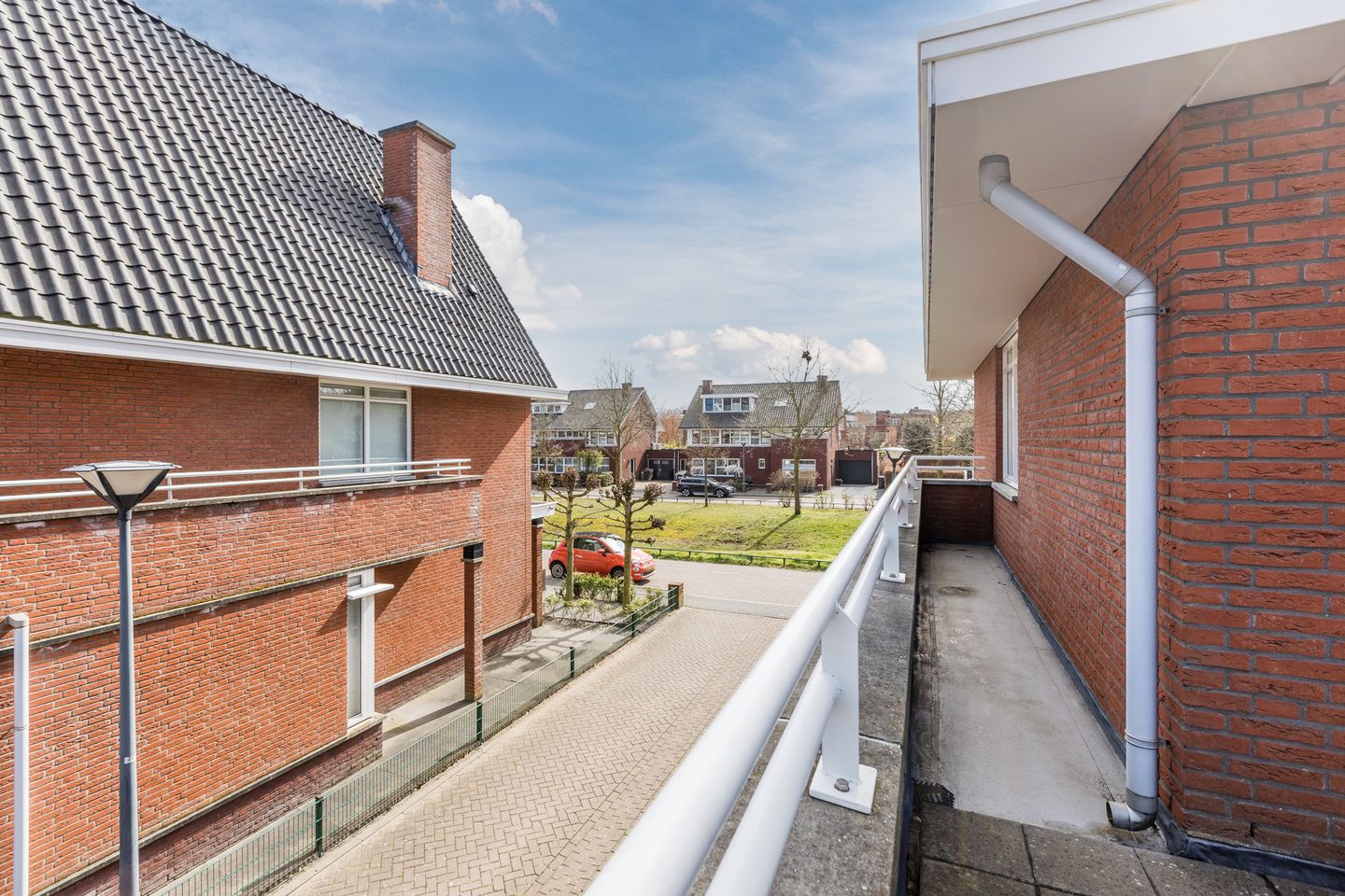 Foto 44 van Harlekijnvlinder 62