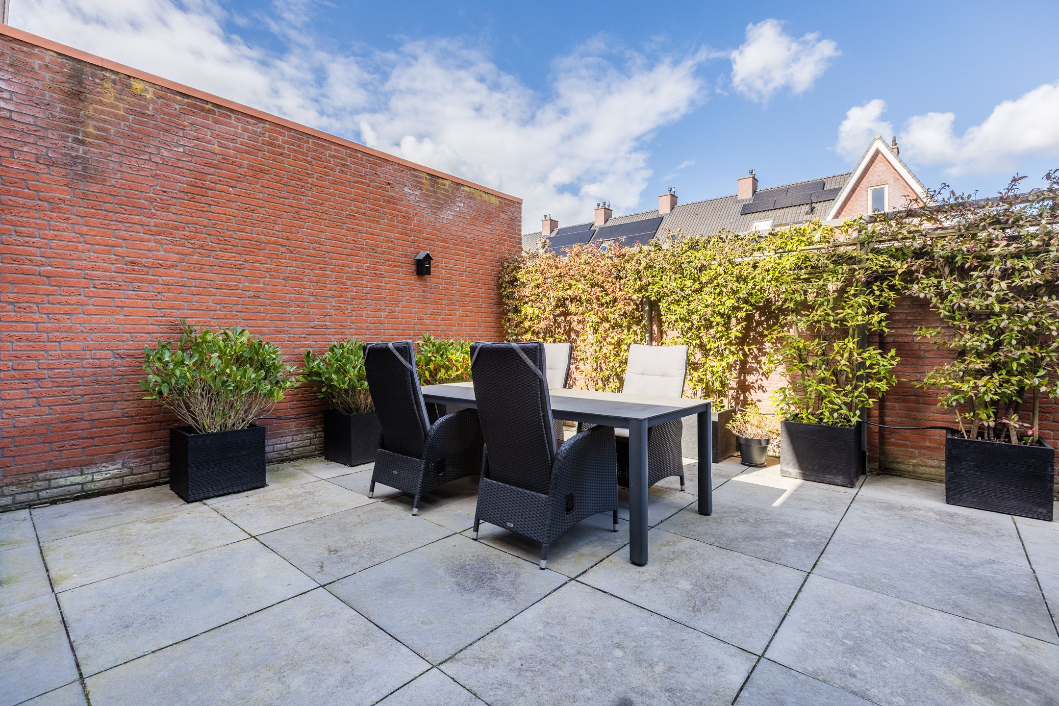 Foto 45 van Harlekijnvlinder 62