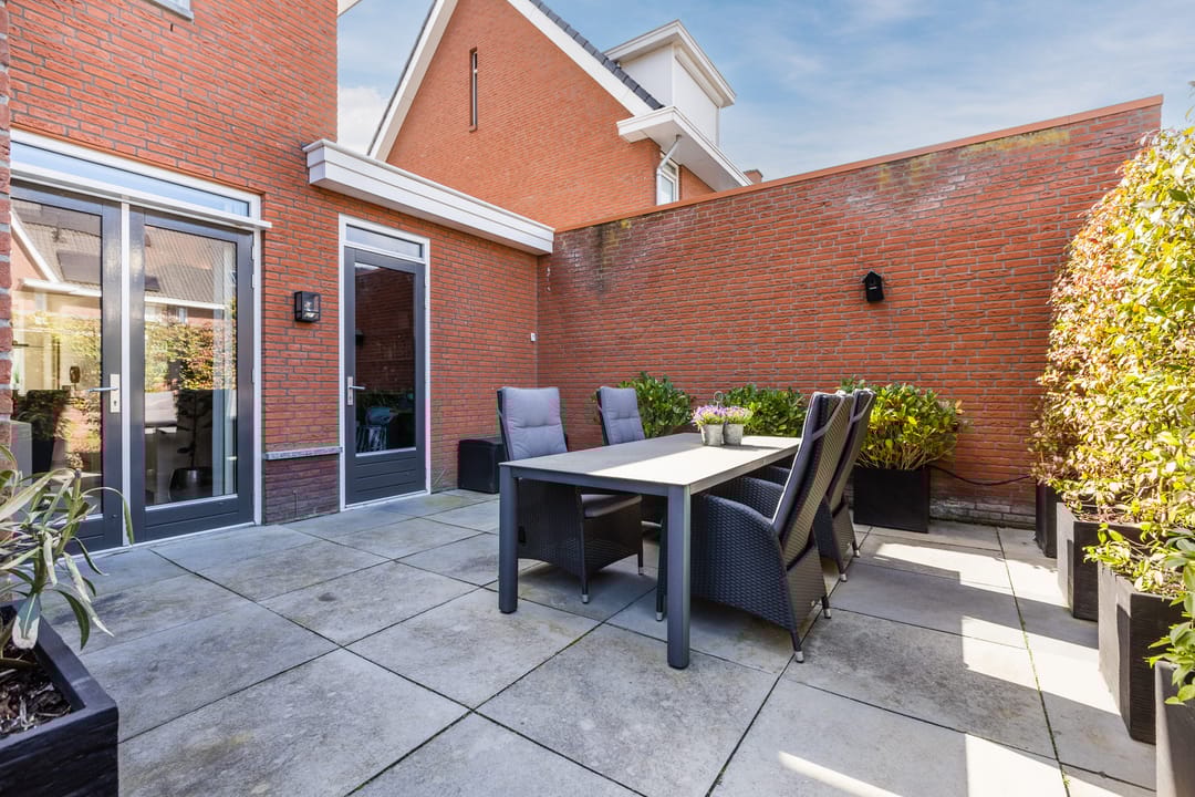 Foto 47 van Harlekijnvlinder 62