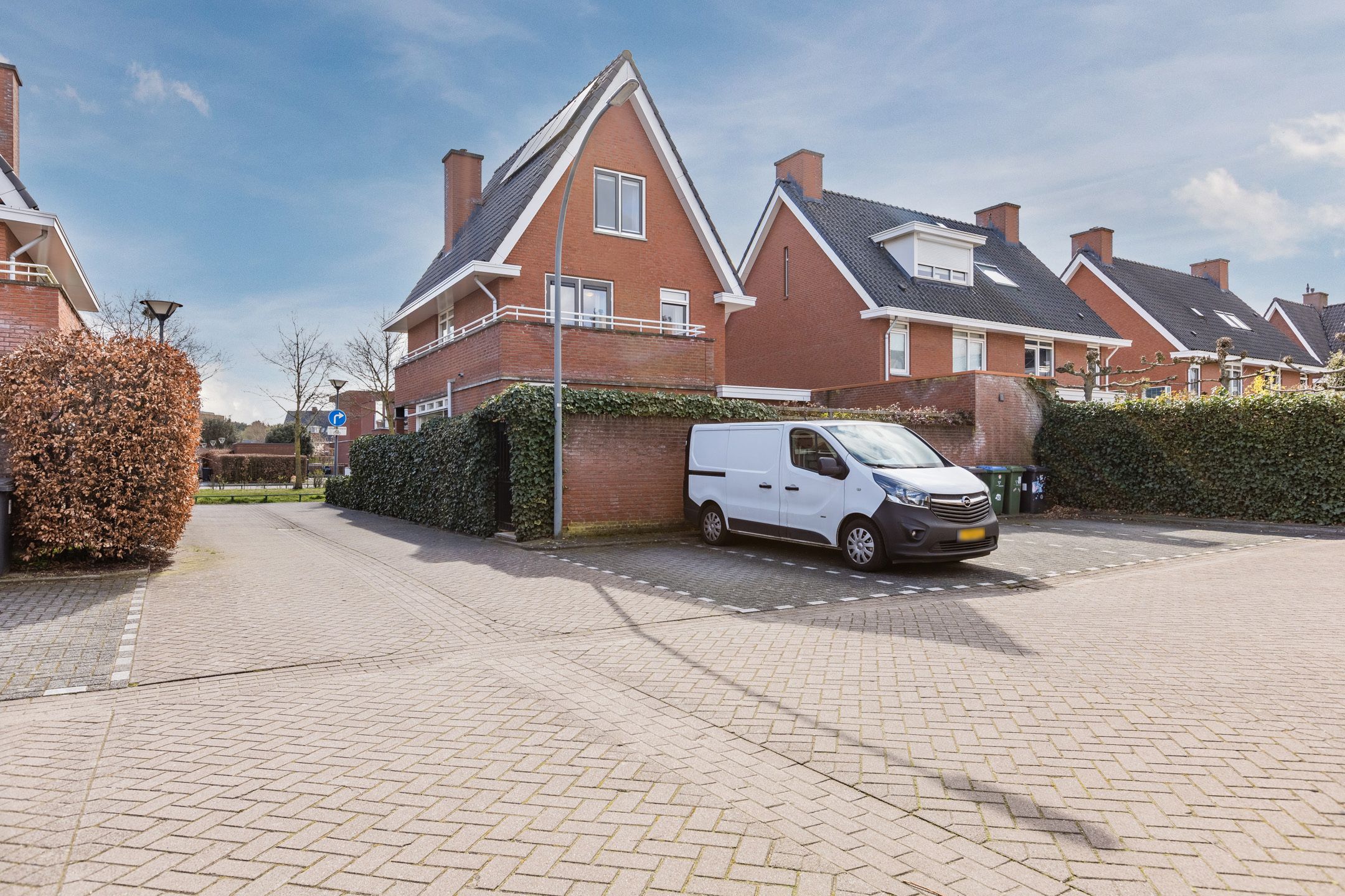 Foto 54 van Harlekijnvlinder 62