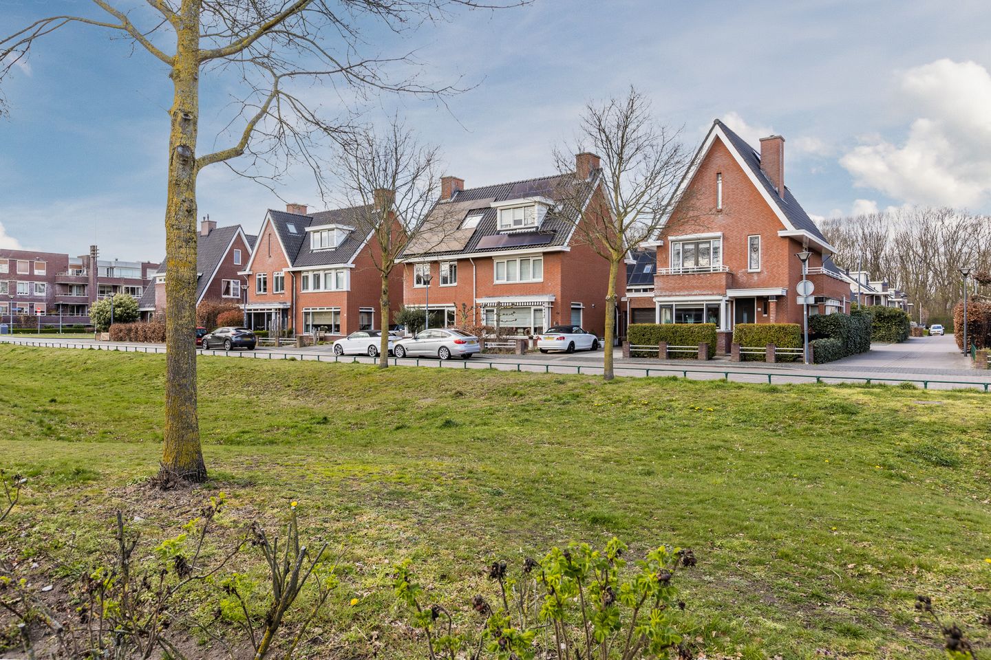 Foto 55 van Harlekijnvlinder 62