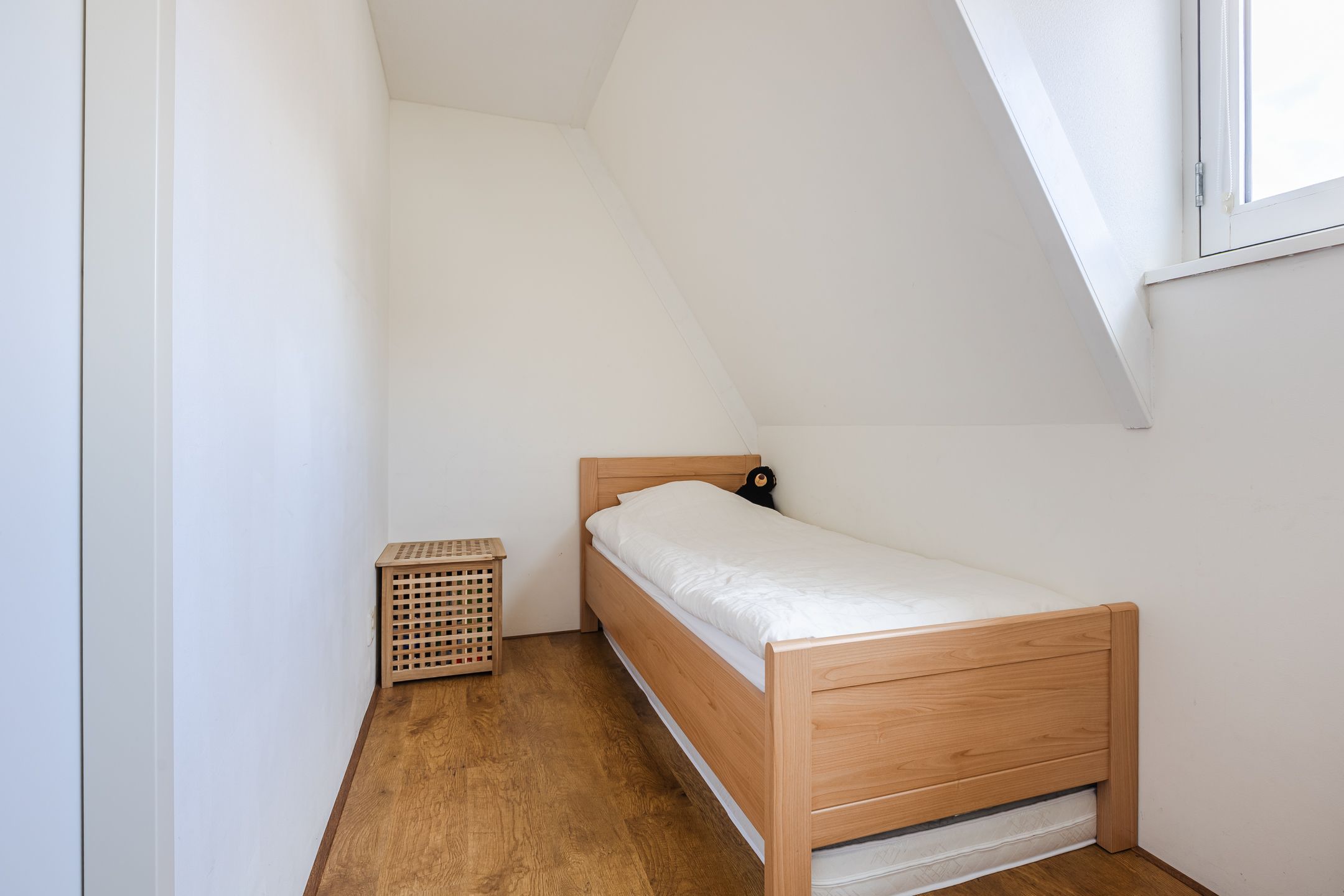 Foto 39 van Harlekijnvlinder 62