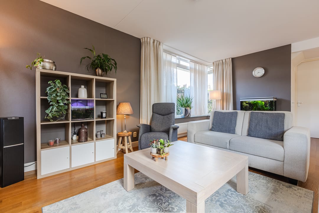 Foto 8 van Harlekijnvlinder 62