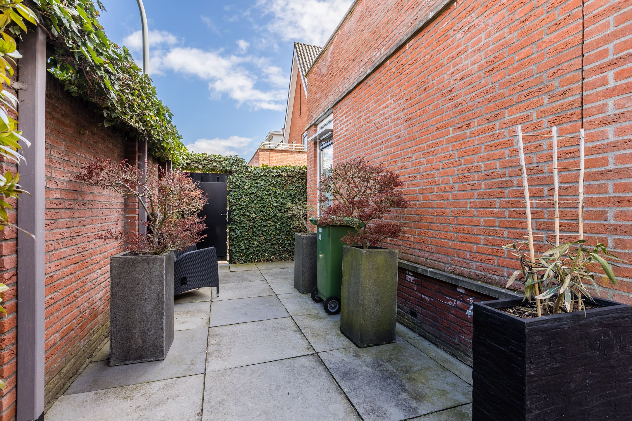 Foto 48 van Harlekijnvlinder 62