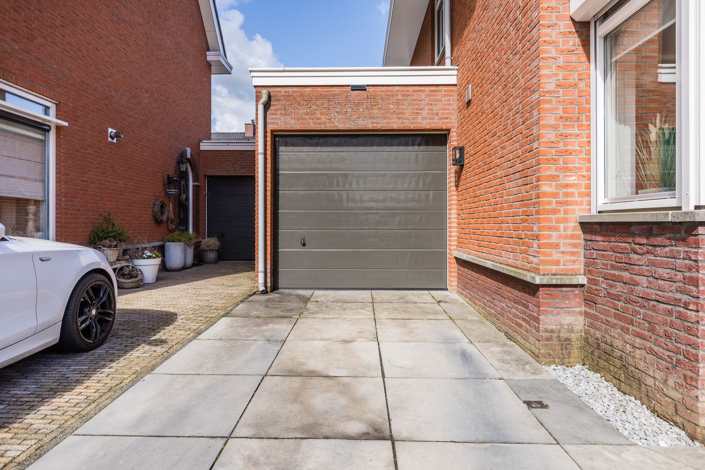 Foto 50 van Harlekijnvlinder 62