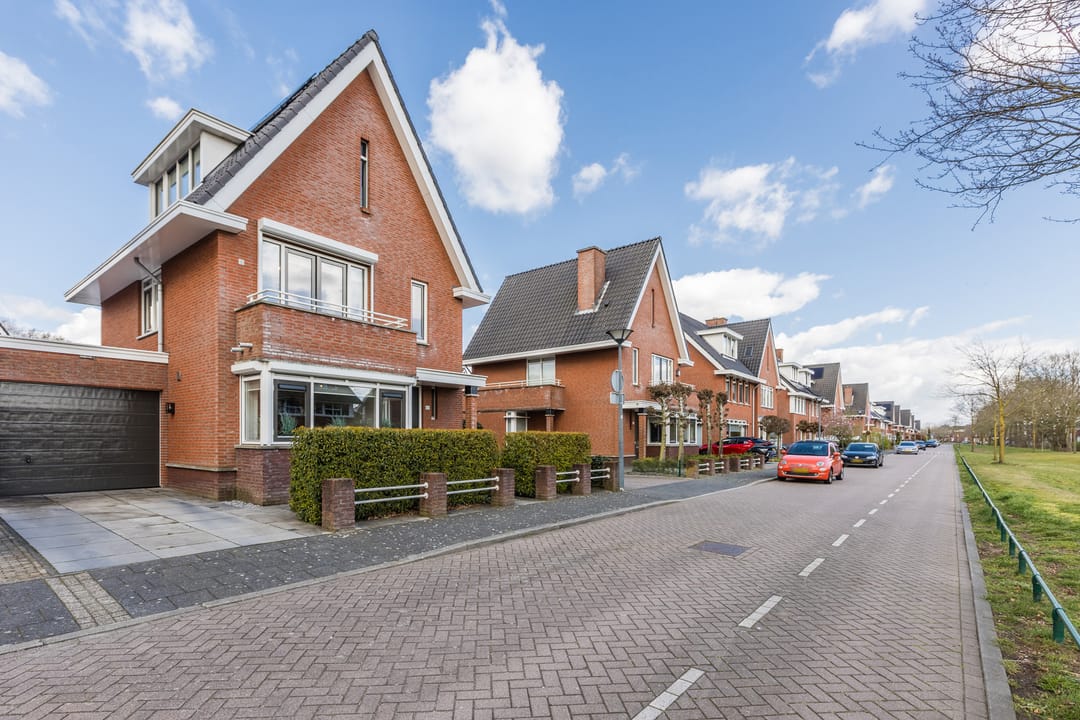 Foto 53 van Harlekijnvlinder 62