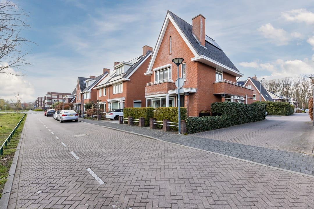 Foto 52 van Harlekijnvlinder 62