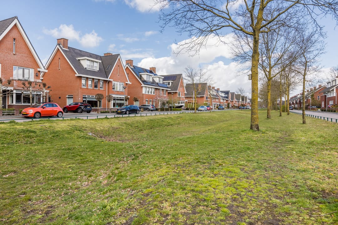 Foto 56 van Harlekijnvlinder 62