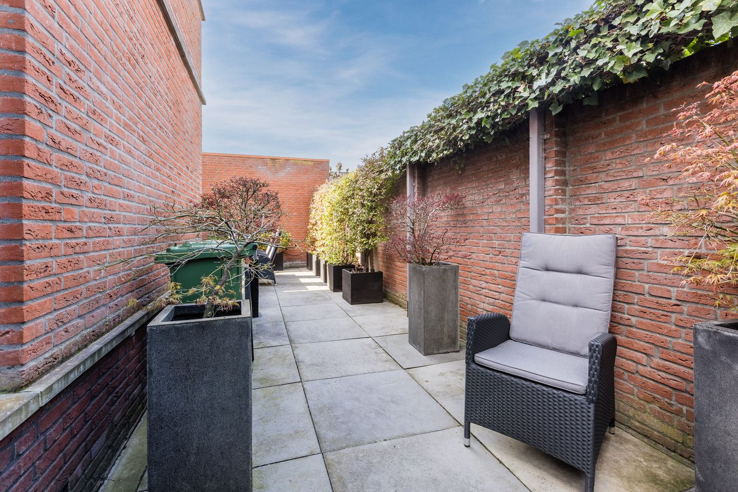 Foto 49 van Harlekijnvlinder 62