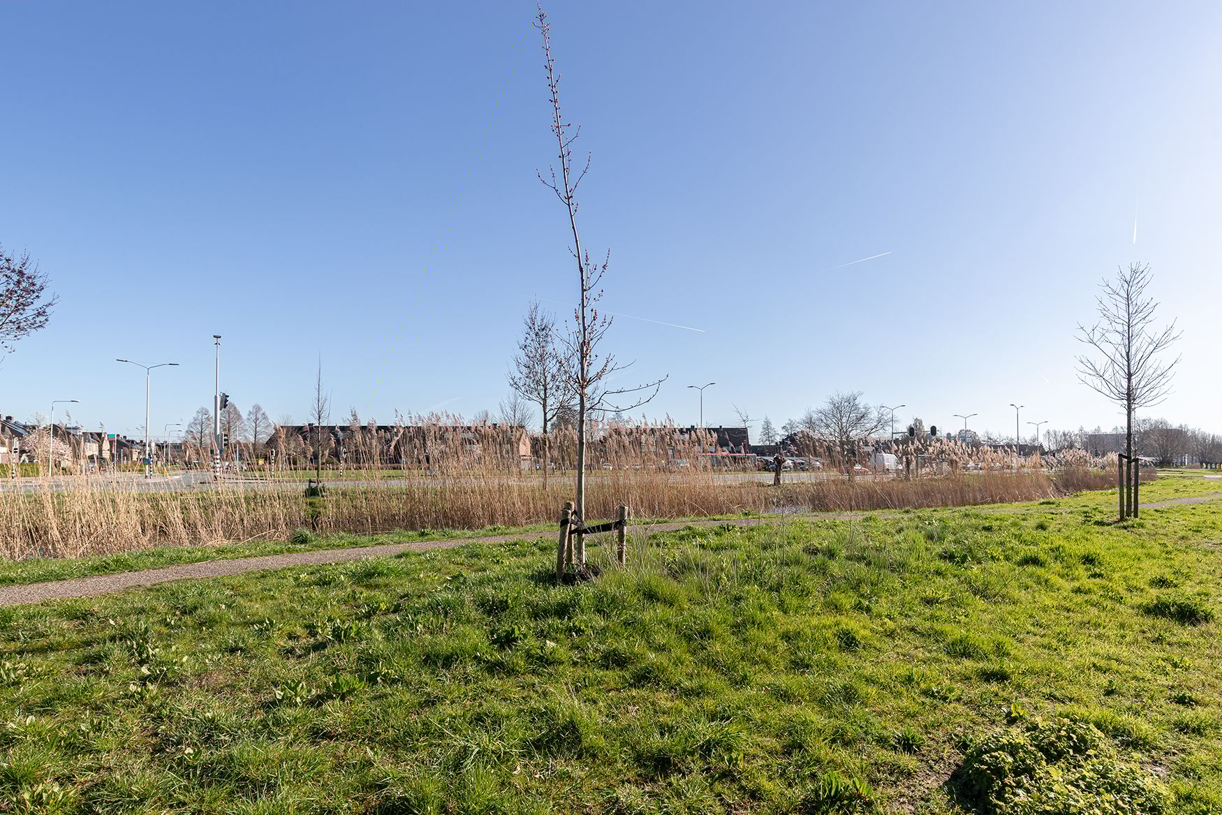 Foto 24 van Ary Scheffersingel 20