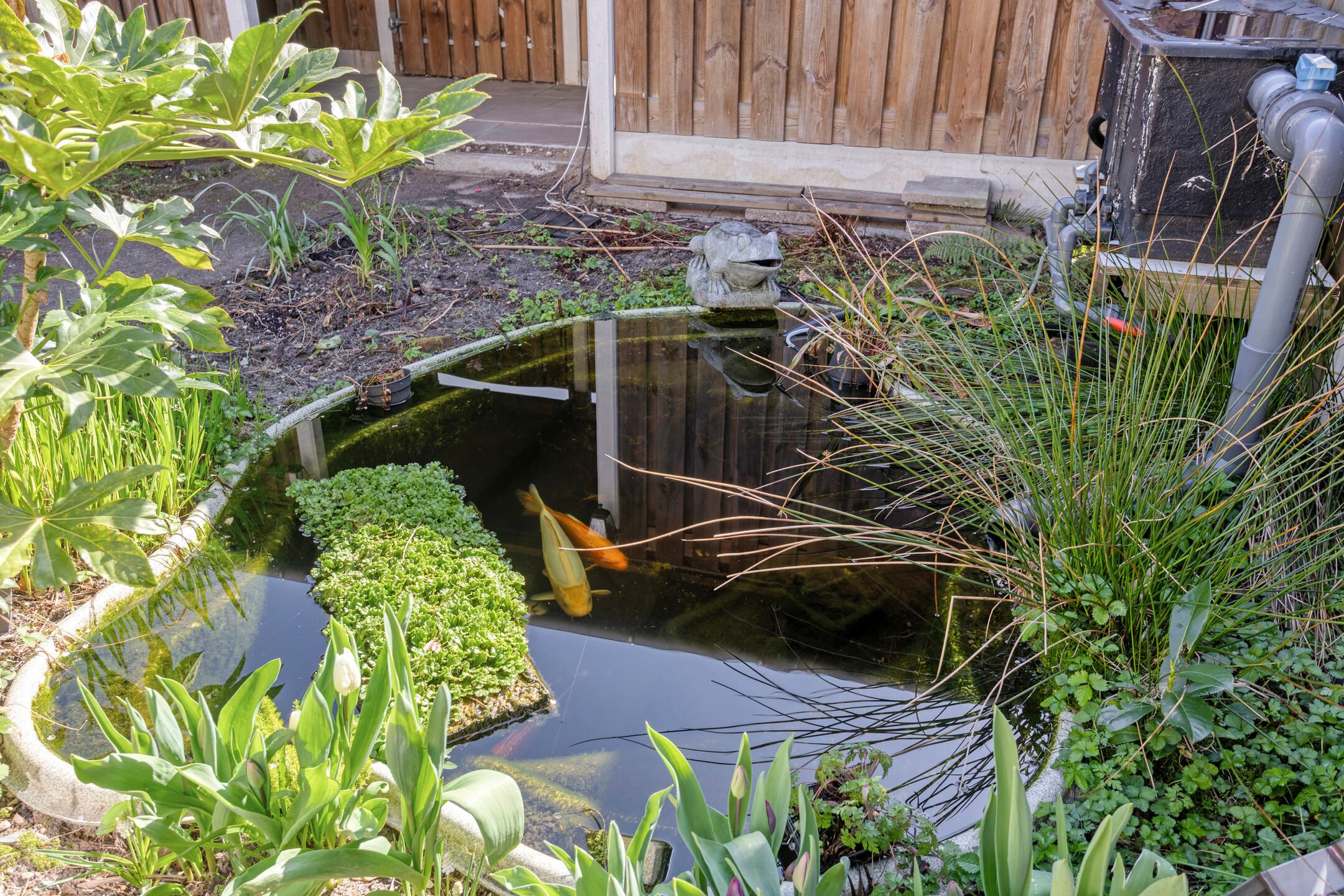 Foto 33 van Hofstee 3