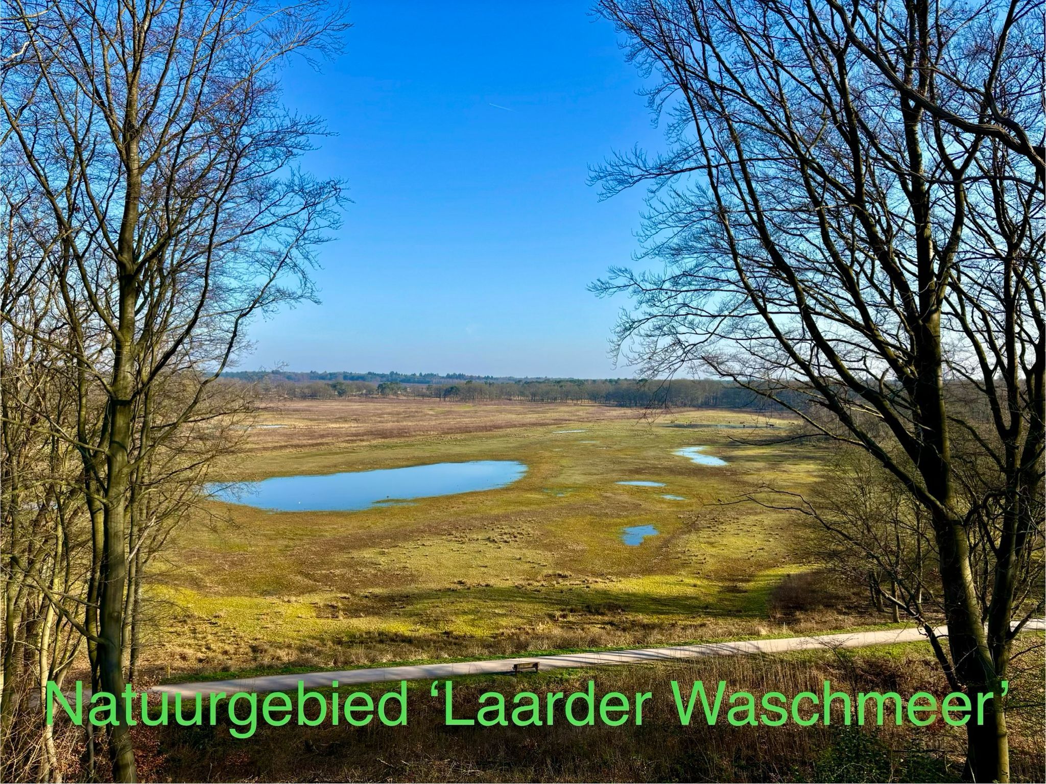 Photo 21 of Curiestraat 28