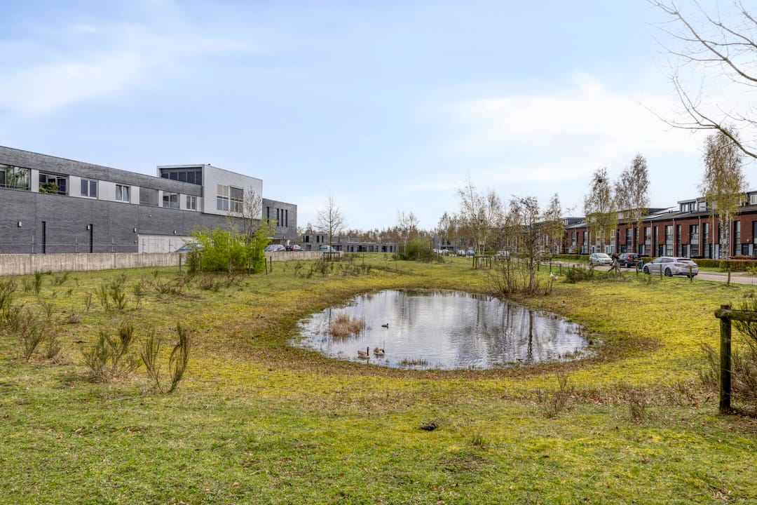 Foto 38 van Schipluidenlaan 8