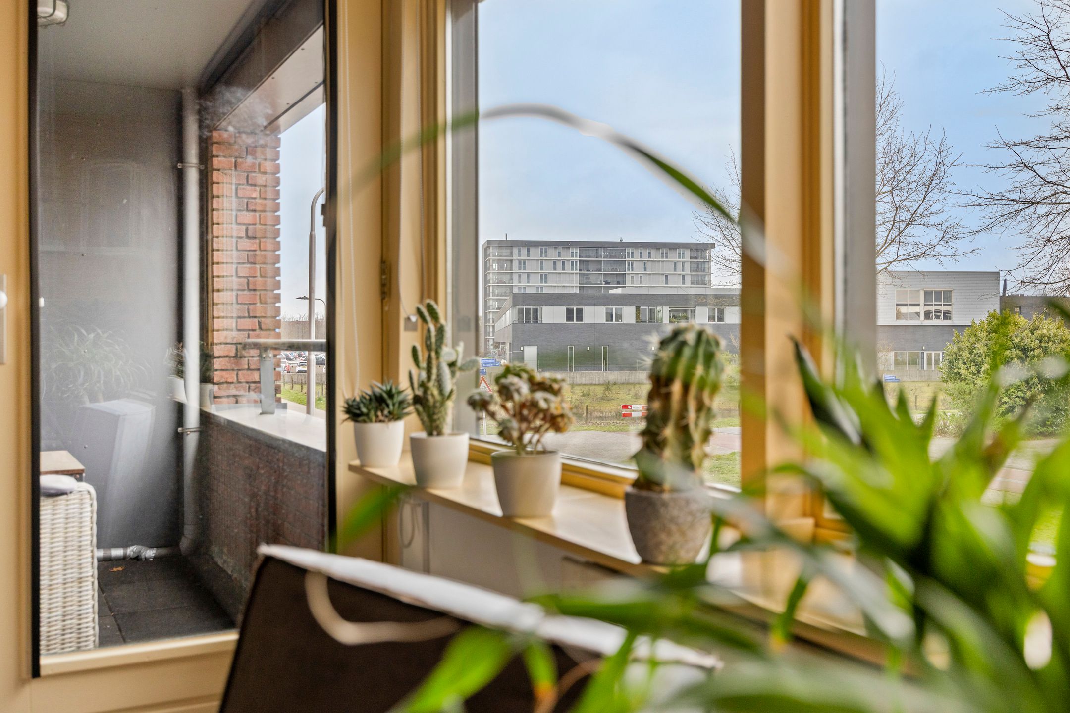 Foto 21 van Schipluidenlaan 8